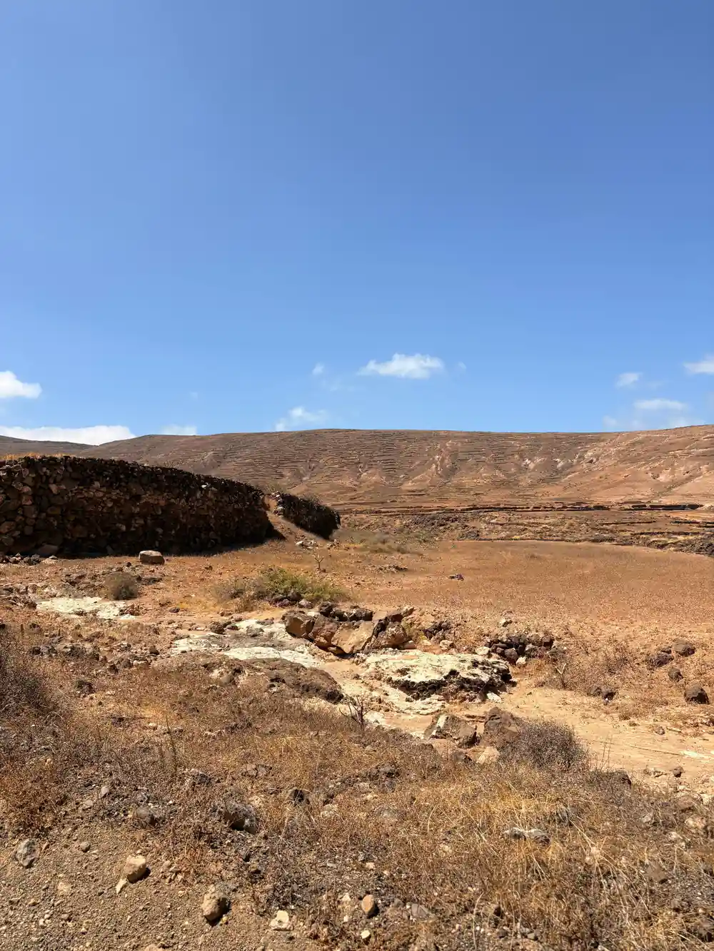 Arid volcanic landscape with sparse vegetation and rocks