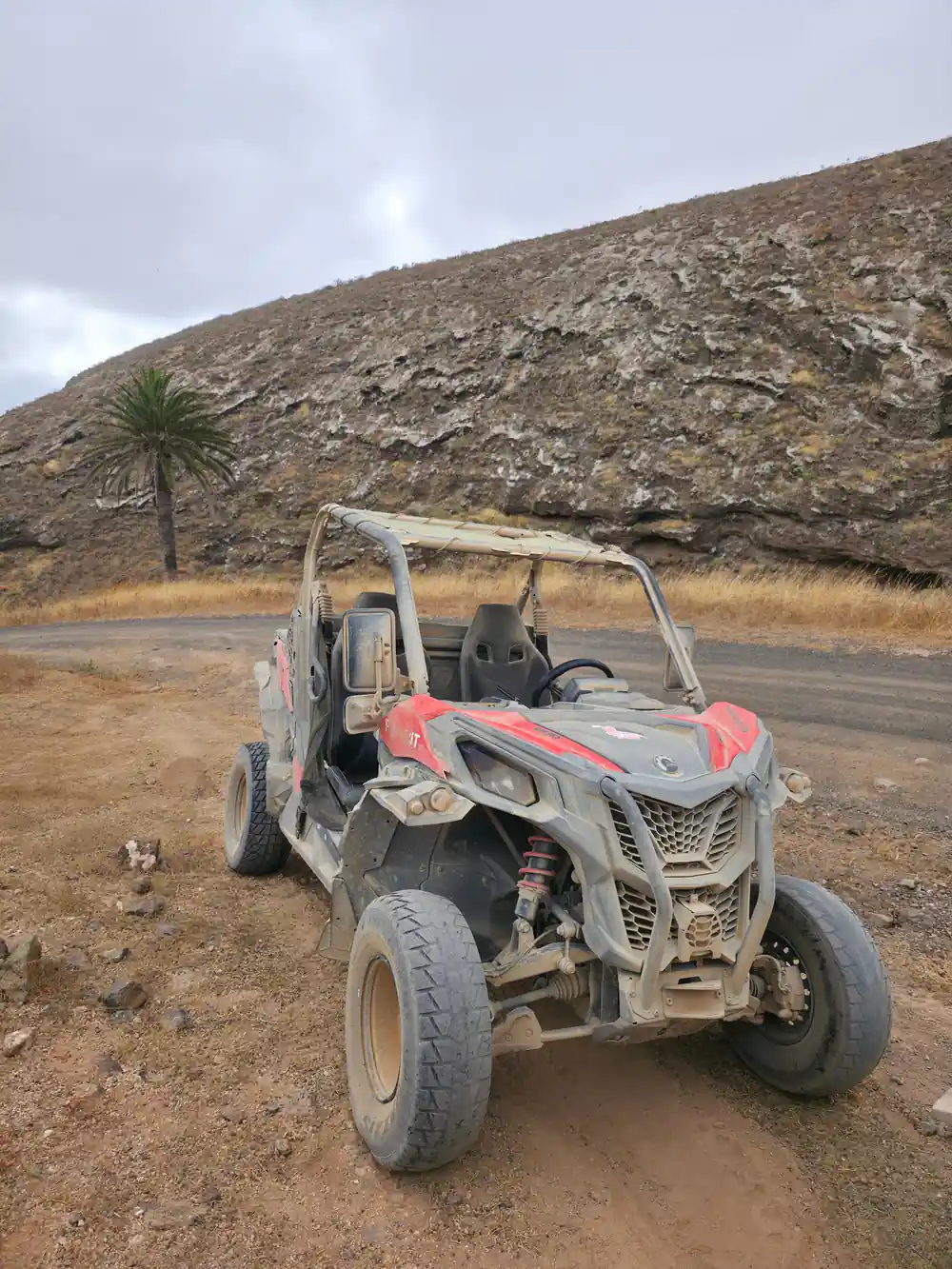 Row of buggies parked with volcanic mountains background